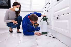 Emergency Pest Control Services in Lantana, FL